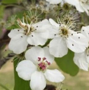 Meet your Posher, Christan